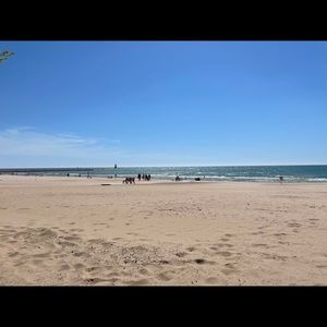 Meet your Posher, Joy